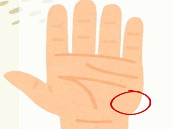 Chỉ tay đường công danh bắt đầu hoặc kết thúc ở gò Thái Âm