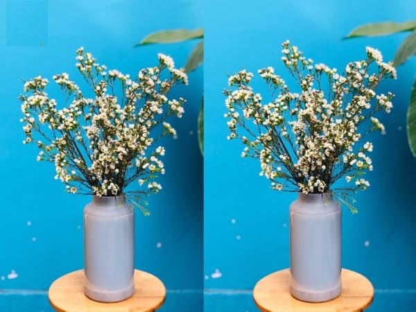 Mẫu hoa thanh liễu trưng Tết trắng đơn giản, nhẹ nhàng với bình cao