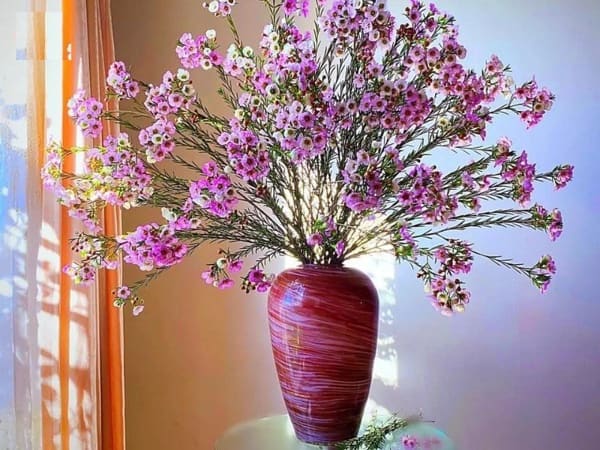 Mẫu hoa thanh liễu cắm Tết tím mộng mơ xòe to