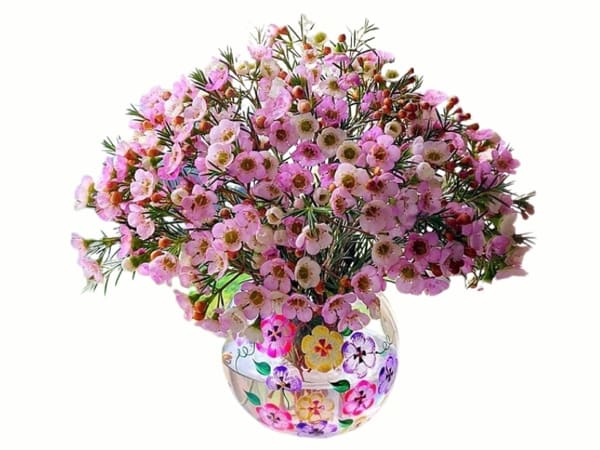 Lọ hoa thanh liễu trong suốt