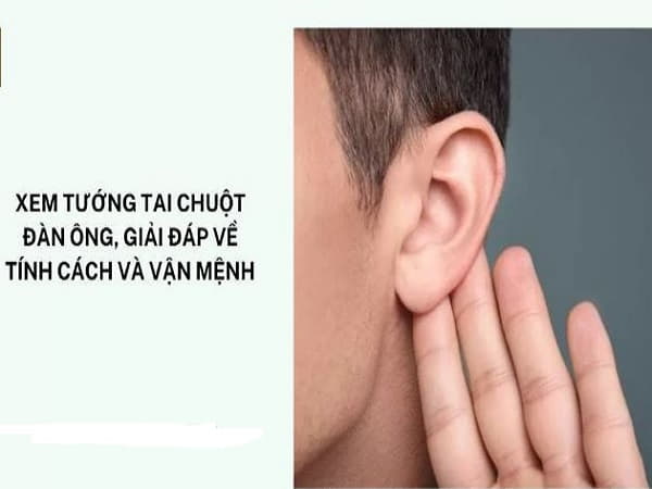 Nam giới có tướng tai chuột thì sao?