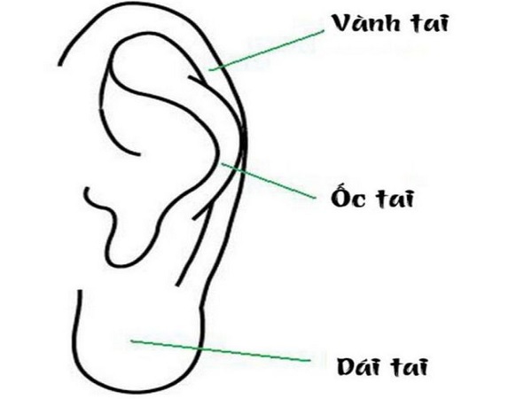 Tướng tai xấu là gì?