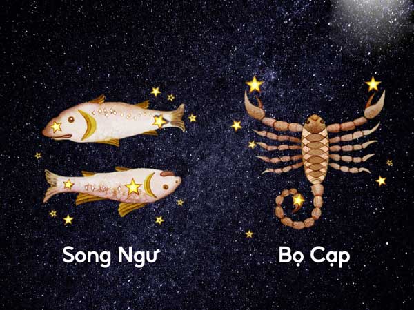 Song Ngư hợp làm bạn với cung nào nhất?