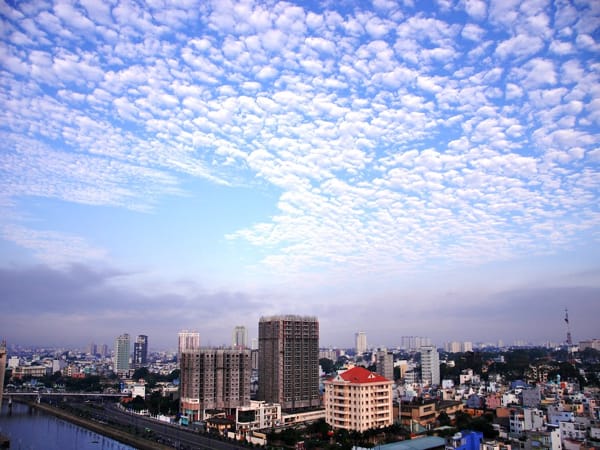 Mây vảy rồng trong phong thủy và vận mệnh