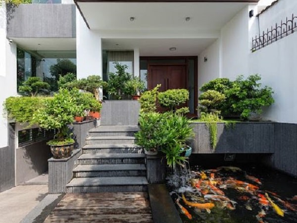 Cây cối trước nhà và ý nghĩa trong phong thủy