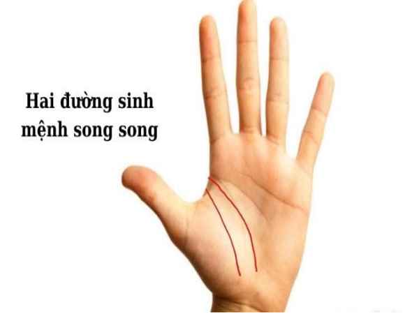 Chỉ tay có 2 đường sinh mệnh là gì?