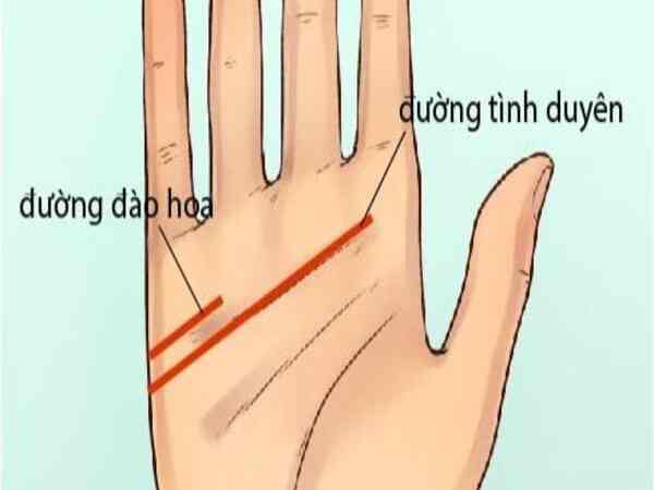 Tốn cung căng đầy - Người khéo giao tiếp, duyên dáng và thu hút