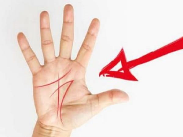 Đường chỉ tay chữ M là gì?