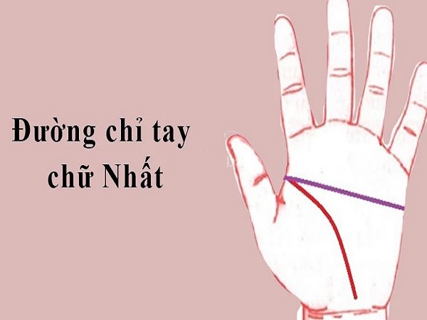 Luận đường chỉ tay chữ nhất ở nam giới và nữ giới