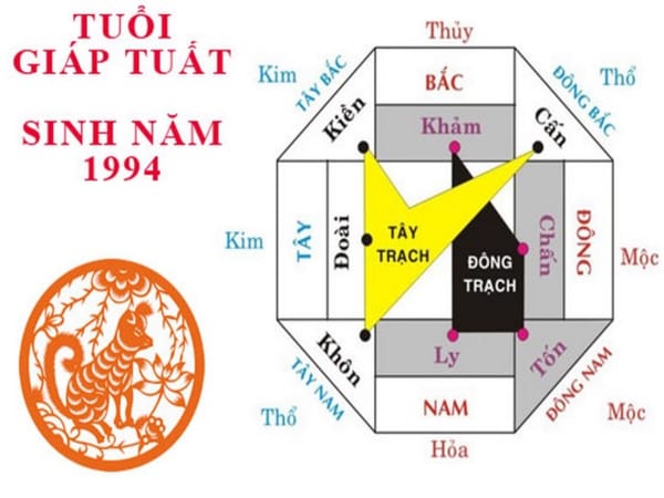 Nam 1994 hợp hướng nhà nào?