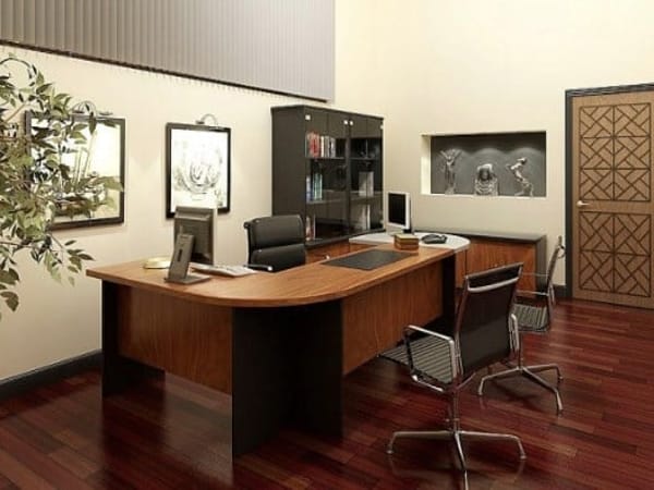 Nữ 1994 hợp hướng nào làm việc?