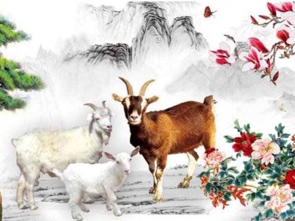 Con số may mắn tuổi Đinh Mùi ngày 4/2/2026 theo Can Chi